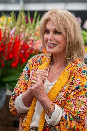 Green Meadow Furniture RHS Chelsea Flower Show