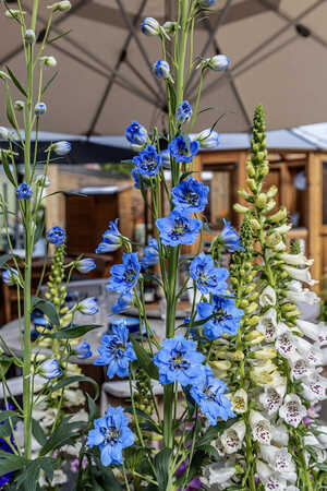 RHS Chelsea Flower Show 2026