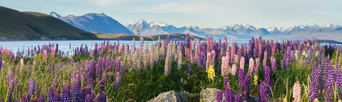 Green Meadow Furniture New Zealand Ethan Furniture Collection