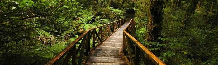 Green Meadow Furniture practice best conservation possible