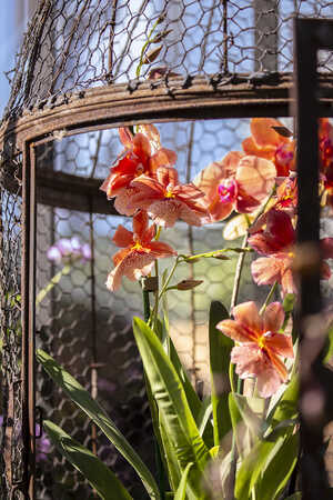 Green Meadow Furniture at RHS Chelsea Flower Show