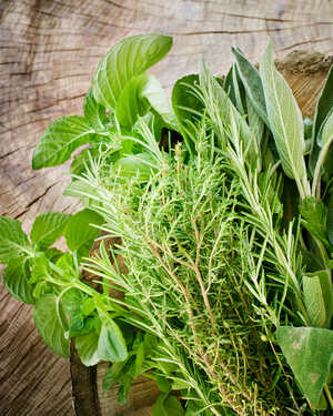 Green Meadow Furniture Spring Garden