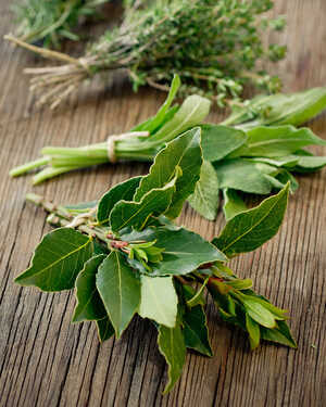 Green Meadow Furniture Spring Garden