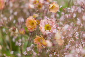 Green Meadow Furniture RHS Chelsea Flower Show Green Meadow Furniture RHS Chelsea Flower Show