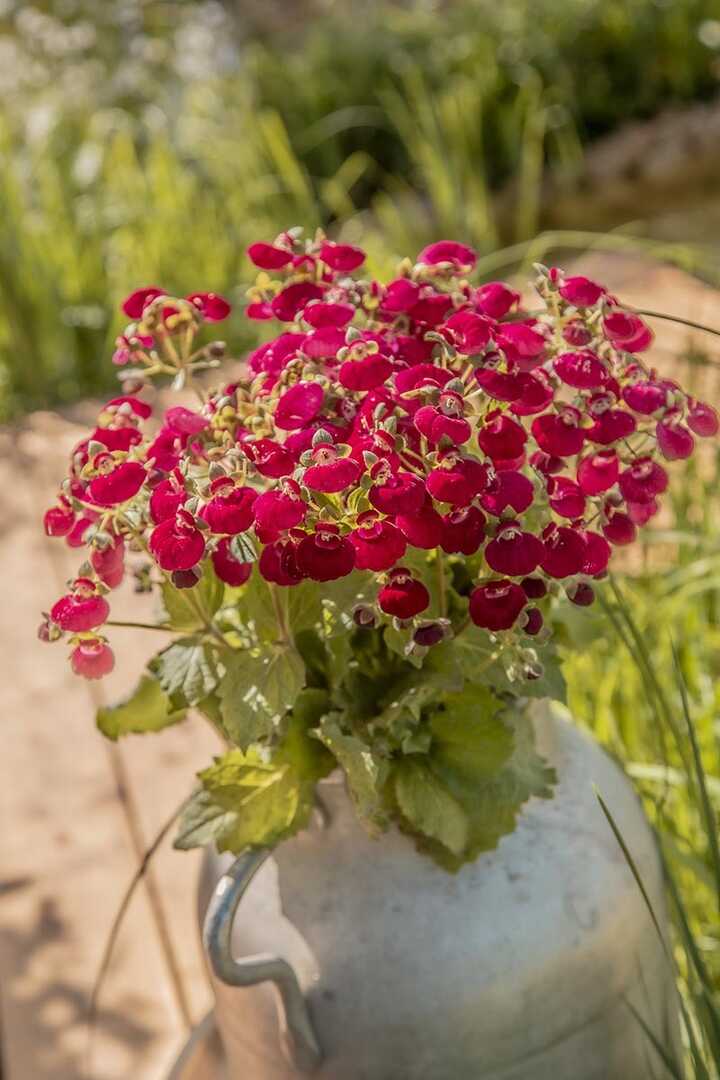 Green Meadow Furniture Malvern