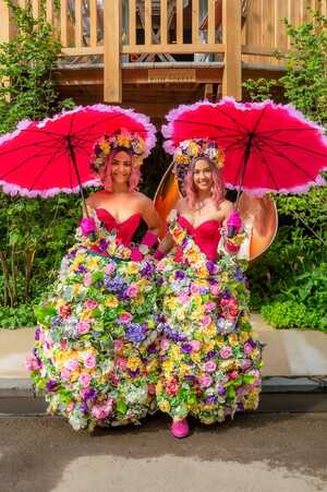Green Meadow Furniture RHS Chelsea Flower Show