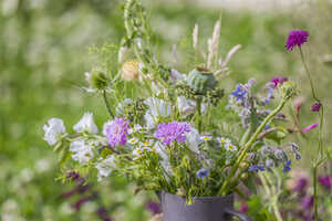 Green Meadow Furniture RHS Hampton Court Garden Festival